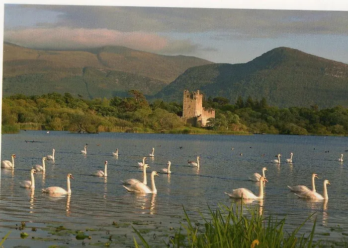 Harbour View 켄마어